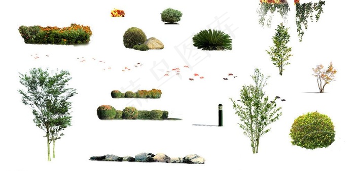 苗灌木配景素材图片psd模版下载