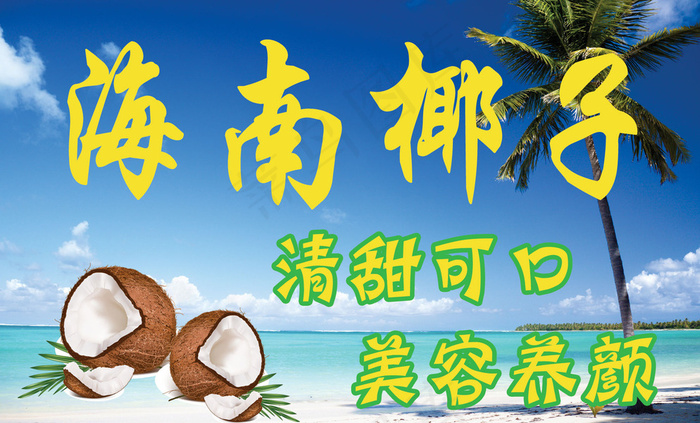 海南椰子图片psd模版下载