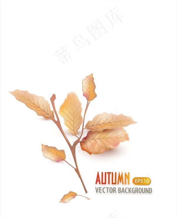 随着秋天的叶子矢量背景