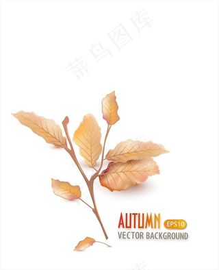随着秋天的叶子矢量背景