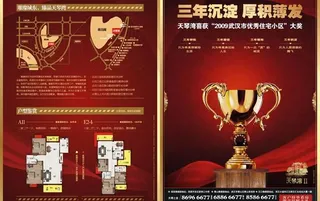 天琴湾房产开盘广告矢量素材