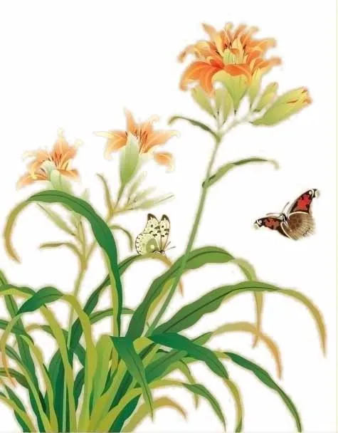 兰花psd模版下载
