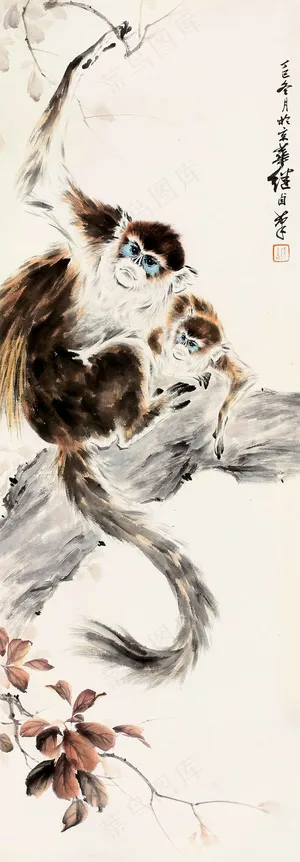 金丝猴图片 金丝猴图片