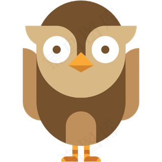 动物 鸟类 晚上 猫头鹰