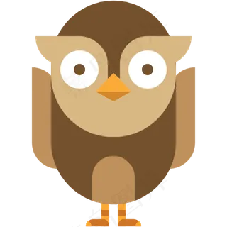 动物 鸟类 晚上 猫头鹰