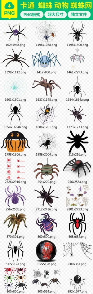 卡通蜘蛛动物蜘蛛网PNG图片素材