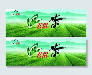 茗岚茶 茶山风景图片