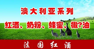 澳大利亚袋鼠图片