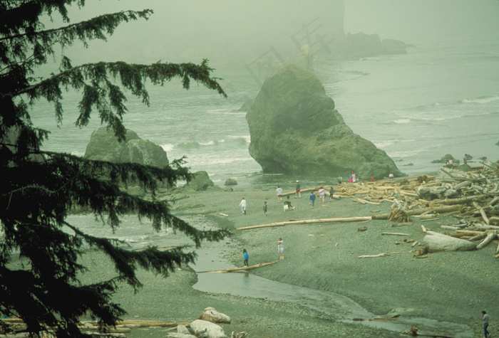 风浪过后的海滩图片