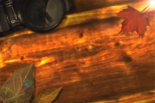 视频背景素材下载