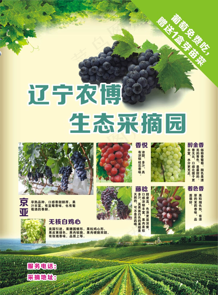 生态葡萄园 CDR文件(212X287)cdr矢量模版下载