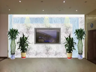 办公室电视背景墙图片