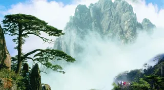 安徽黄山迎客松