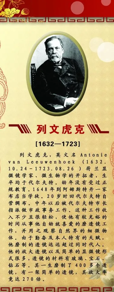 列文虎克 名人简介图片psd模版下载