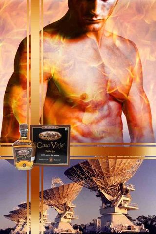 人头马广告宣传单