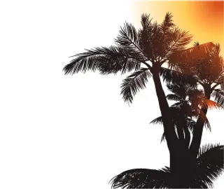 热带季度背景插图背景海报