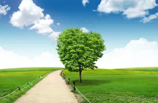 蓝天绿地唯美的天空背景