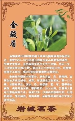 茶叶简介图片cdr矢量模版下载