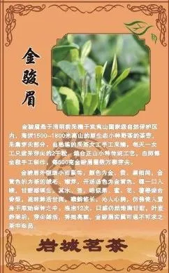 茶叶简介图片cdr矢量模版下载