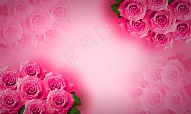 原创PSD玫瑰花高清背景模板(4134X2480(DPI:300))psd模版下载