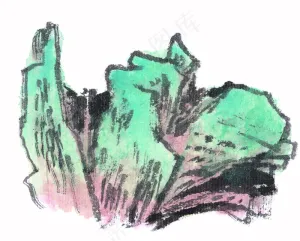 扇石