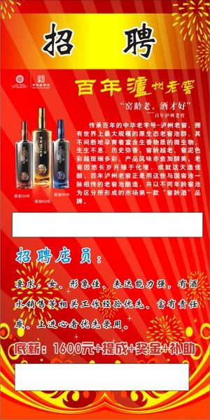 招聘   海报    彩页