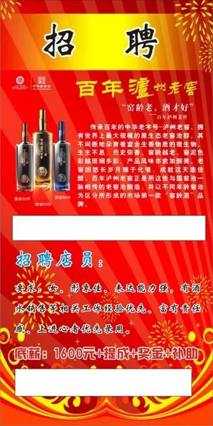 招聘   海报    彩页