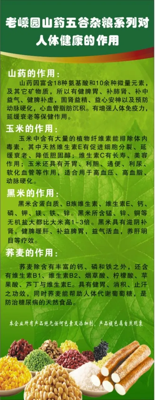 展架写真cdr矢量模版下载