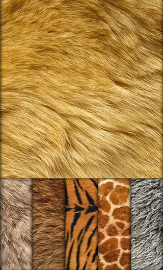 高清动物皮毛素材