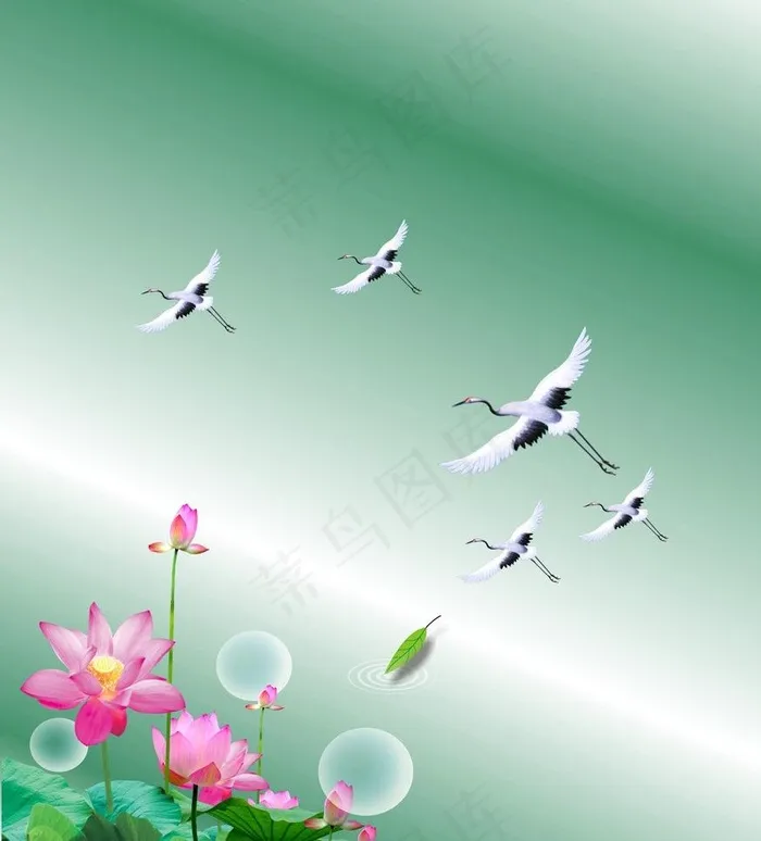 荷花底图图片cdr矢量模版下载
