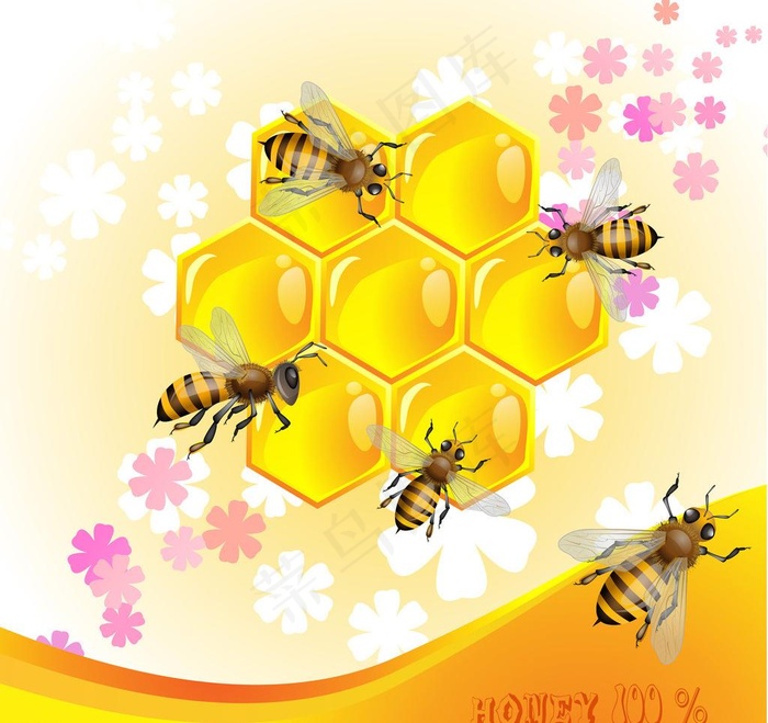 蜜蜂蜂蜜图片eps,ai矢量模版下载