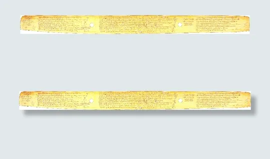 公元前300年的老泰米尔的棕榈叶