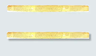 公元前300年的老泰米尔的棕榈叶