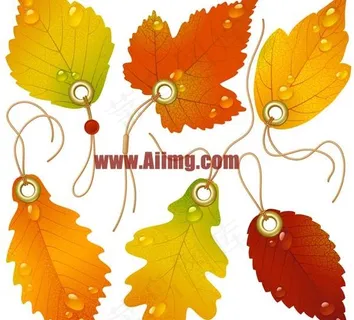 秋天树叶吊牌矢量素材