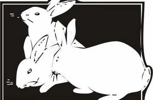 中秋小白兔矢量图07