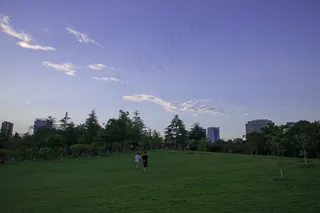 pr科技色彩分离转场模板pr科技色彩分离转场模板