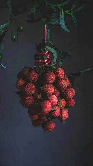 暗调色的荔枝高清摄影图片