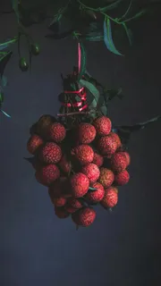 暗调色的荔枝高清摄影图片 暗调色的荔枝高清摄影图片