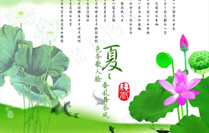 荷花图片cdr矢量模版下载