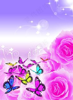 蝴蝶 玫瑰图片