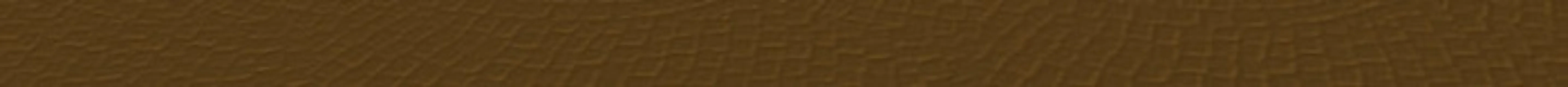 感恩节网页模板