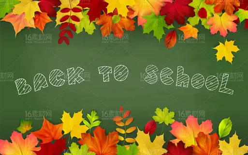 秋天枫叶花纹边框装饰矢量素材