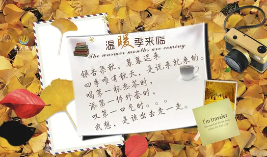 银杏海报 银杏海报