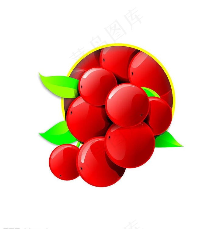 北五味子图片cdr矢量模版下载