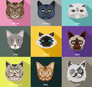 9款精致猫咪头像矢量素材