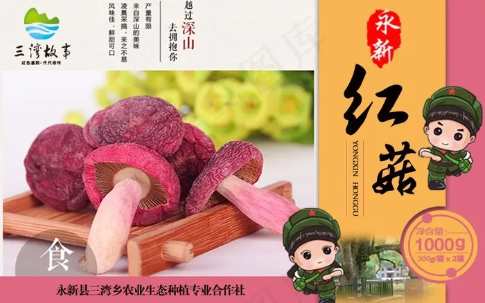 土特产红菇包装盒---展板---模板---蘑菇psd模版下载