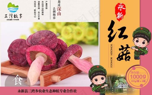土特产红菇包装盒---展板---模板---蘑菇