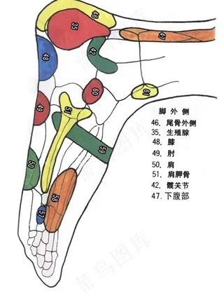足疗穴位图片