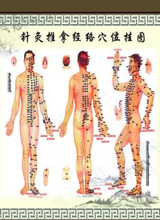 穴位图图片