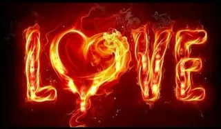 婚礼视频素材图片